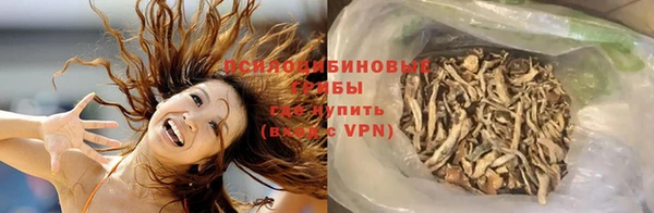 хмурый Абаза
