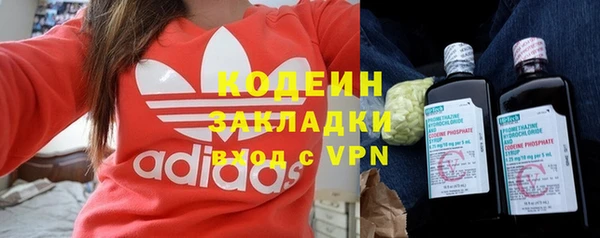 хмурый Абаза