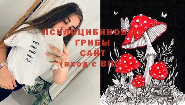 дурь Абдулино