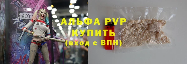 хмурый Абаза