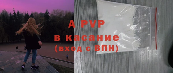 хмурый Абаза