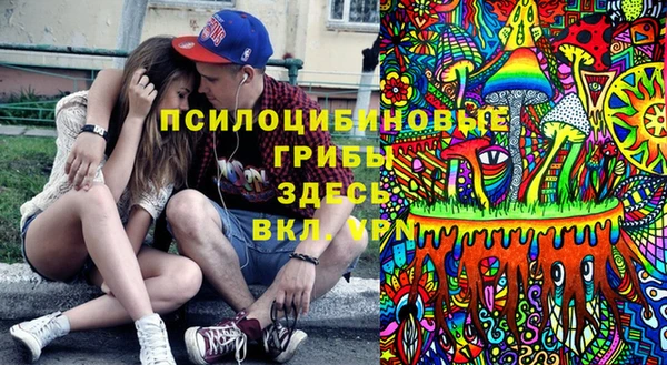Альфа ПВП Няндома
