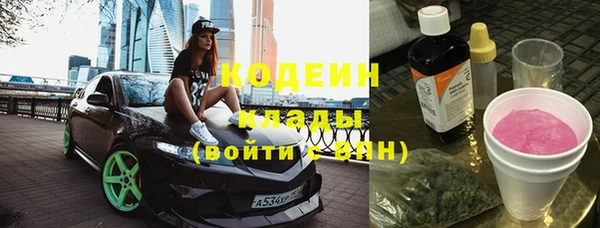 хмурый Абаза