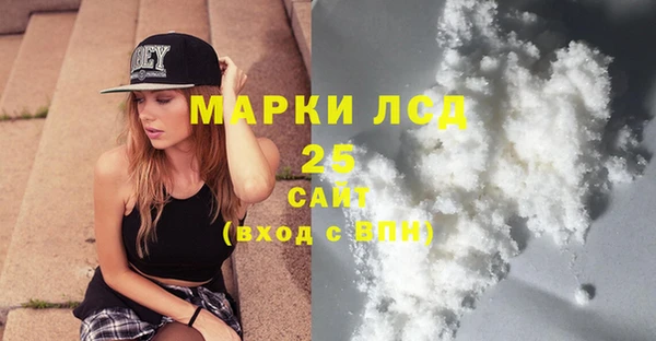 хмурый Абаза