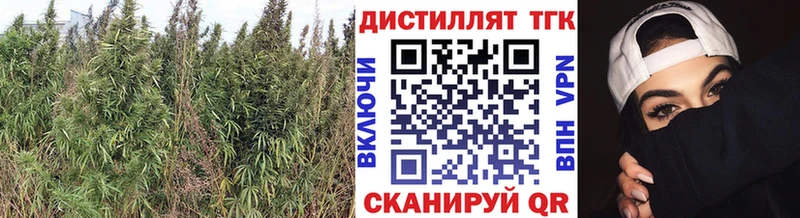 ТГК вейп Тетюши